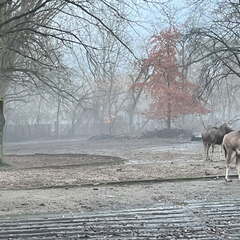 24-12-06 15-28-47 1659